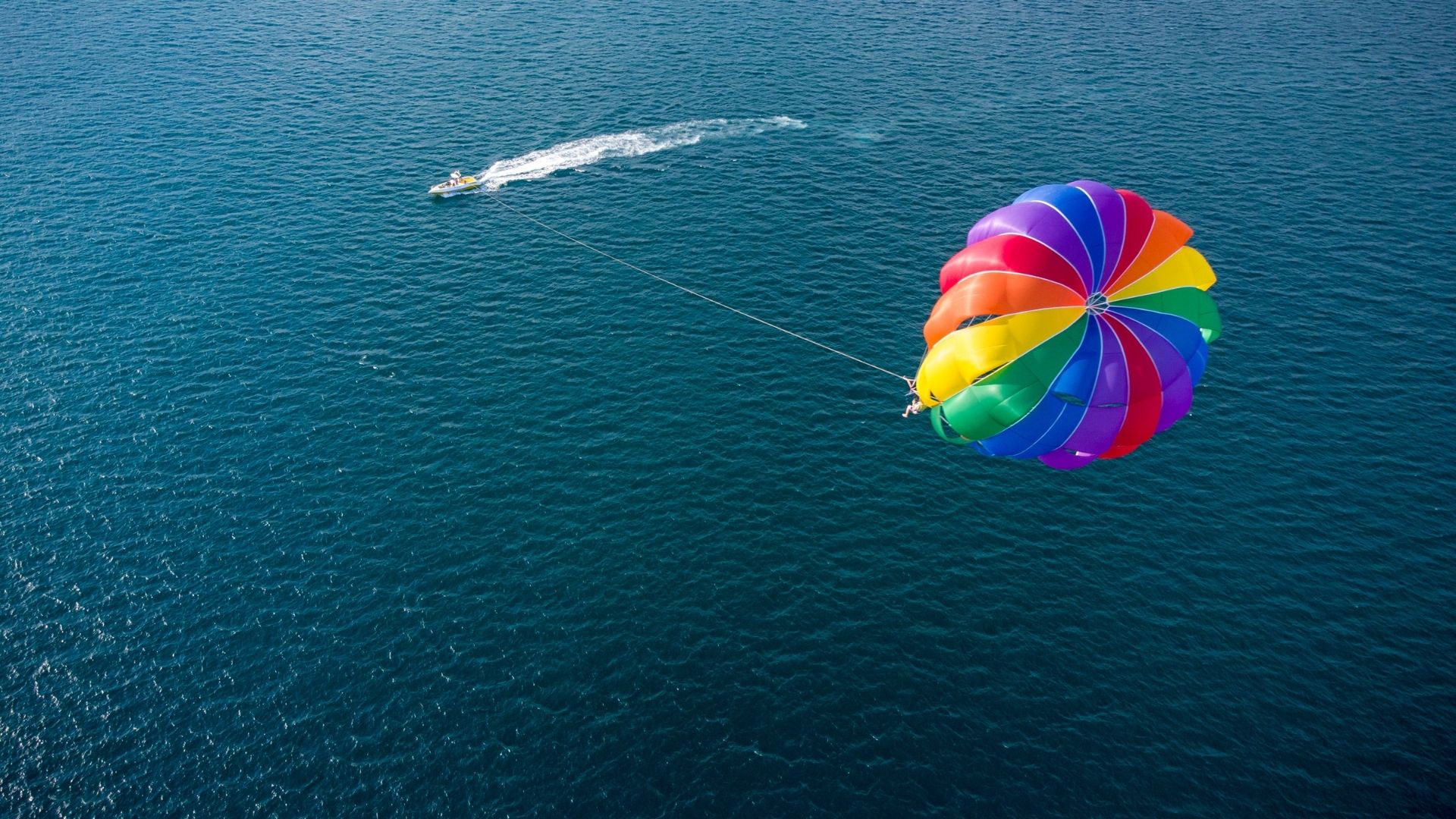 Parasail Manufacturer – Buy High-Quality Parasails | Pegasus Parasails